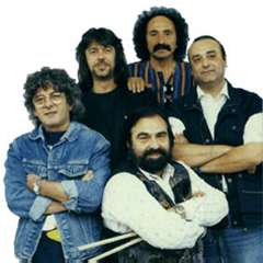 cerco amicizia e amore camaleonti